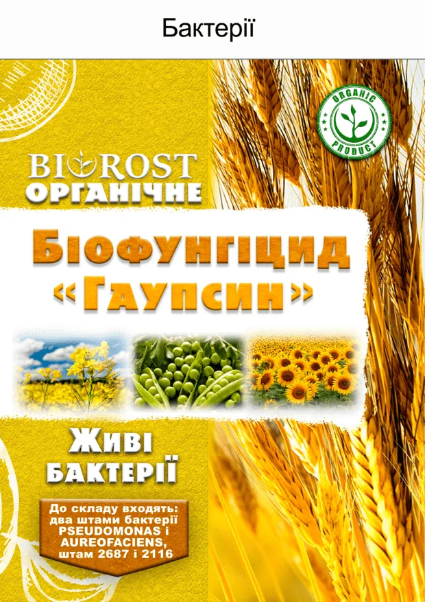 Гаупсин